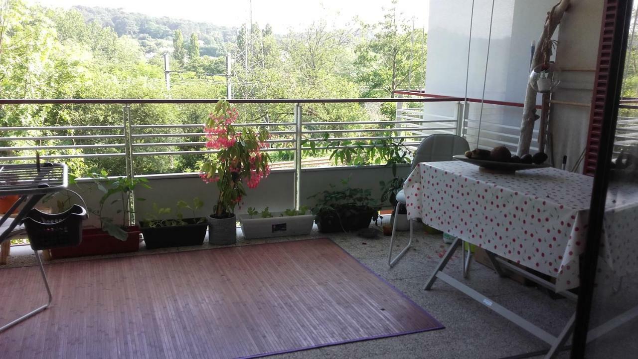 T2 Bis Avec Terrasse Vue Montagne Proche Mer, Commerces Et Biarritz ビダール エクステリア 写真
